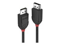 C ble DisplayPort 1.2, Black Line, 3m