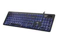 Adesso EasyTouch AKB-139EB Keyboard backlit USB US