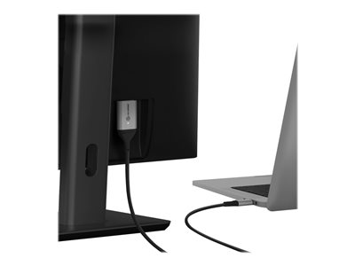 Ultra video / audio cable - HDMI / USB - 1 m