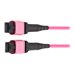 Eaton Tripp Lite Series 100G Multimode 50/125 OM4 Fiber Optic Cable 12F MPO/MPO-PC F/F Type-B Polarity OFNP Magenta 4M TAA