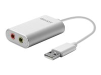 LINDY Convertisseur USB type A vers