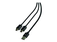 LEXIP X STEELPLAY Dual Play & Charge Cbl