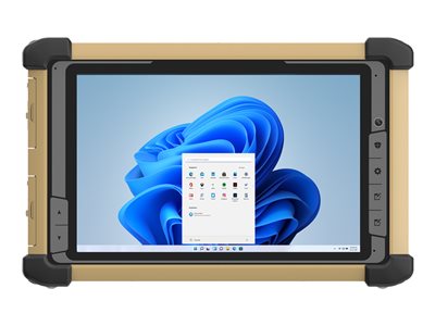 DT Research DT381RP - Rugged