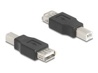 Delock USB-adapter Sort