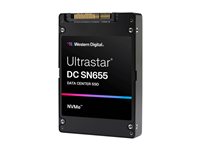 Western-Digital IDE 0TS2460