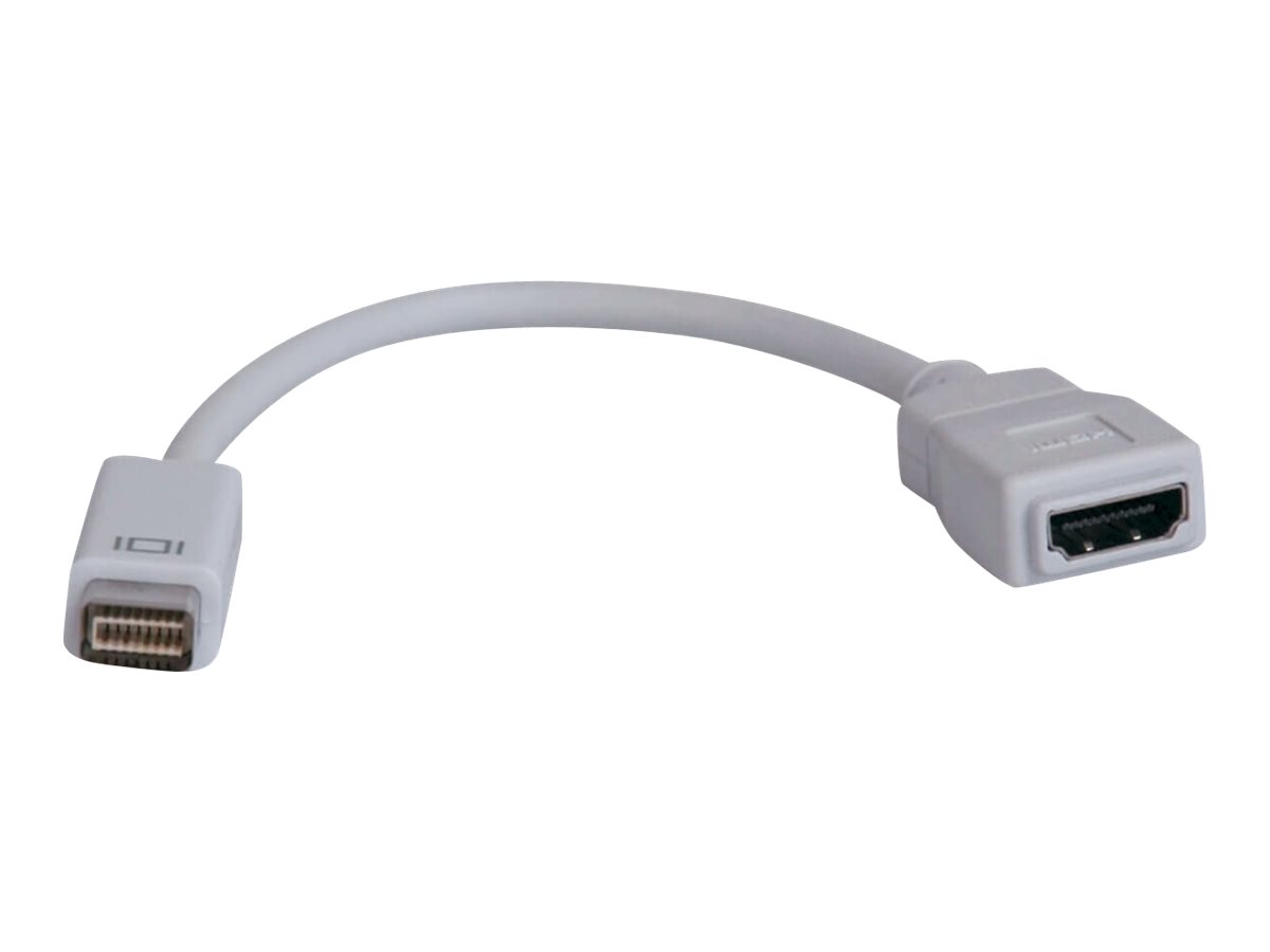 DVI to HDMI Adapter (M/F)