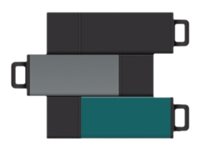 Centon DataStick Pro 2