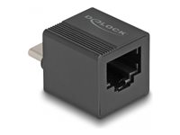 DeLock Adapter to  LAN mini Netværksadapter Ethernet Fast Ethernet Gigabit Ethernet