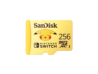 SanDisk - Flash memory card