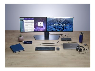 dell wd19 dual monitor