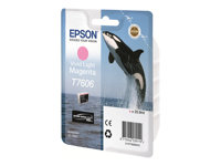 Epson Jet d'encre Grand Format C13T76064010