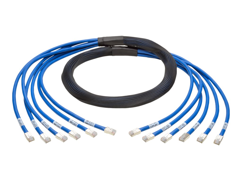 Tripp Lite 10ft Augmented Cat6 Cat6a Pre-Terminated Copper Trunk Bundle 6xRJ45 M/M 10'