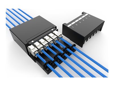4016032497516 - DIGITUS consolidation point box - keystone modules with intelligent cable manager 4016032497516 - DIGITUS consolidation point box - keystone modules with intelligent cable manager