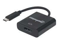 Manhattan USB / DisplayPort adapter 21cm
