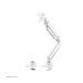 NEOMOUNTS NeoMounts Flat Screen Desk mnt