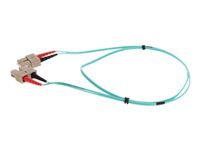 AddOn 1m SC OM4 Aqua Patch Cable