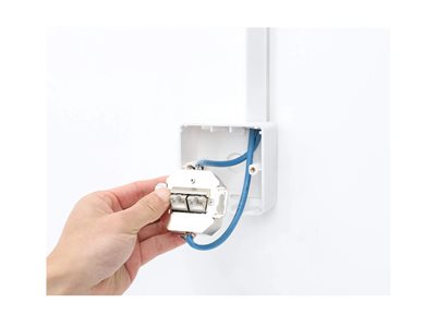 INT 2-Port Cat6a 10G Wanddose weiss