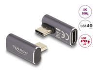 DeLOCK USB 3.2 Gen 2 / DisplayPort 1.4 /Thunderbolt 3 USB-C adapter Grå