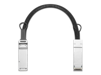 Lenovo - Câble d'attache directe 200GBase - QSFP pour QSFP - 40 cm 