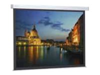 Projecta ProScreen Square Format - projection screen - 134" (339 cm)