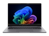 ASUS ExpertBook P3 PM3606CKA-P516512-CA