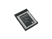 SANDISK Prof. PRO-CINEMA 256Go CFexpres