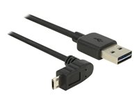 DeLOCK USB 2.0 USB-kabel 50cm Sort