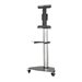 Tripp Lite Premier Rolling TV Cart for 37 to 70 Displays, Black Glass Base and Shelf, Locking Casters