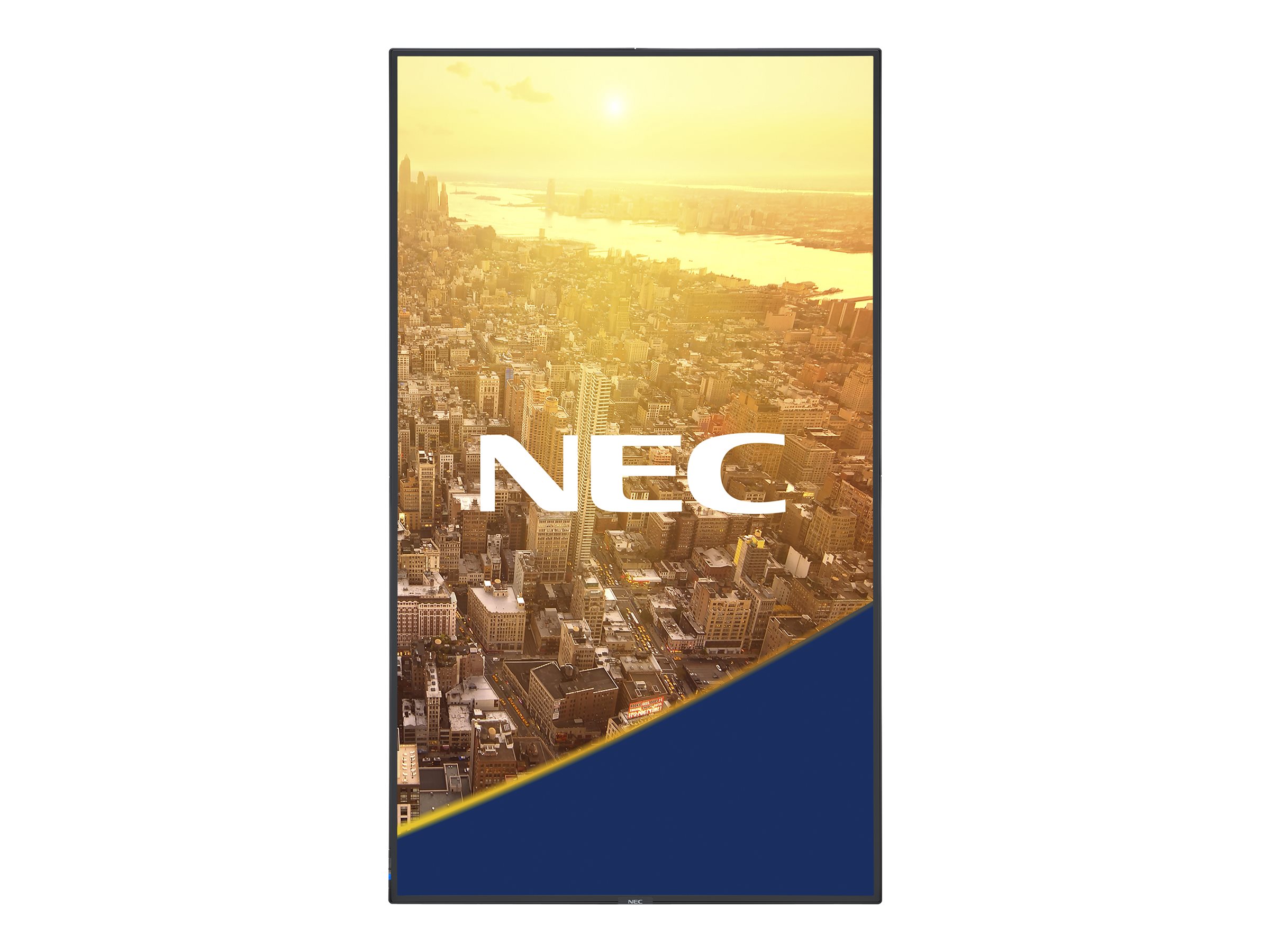 NEC MultiSync C551 C Series - 55