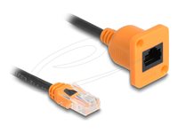 Delock CAT 5e Ikke afskærmet parsnoet (UTP) 30cm Forlængerkabel til netværk Orange/sort