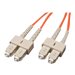 Eaton Tripp Lite Series Duplex Multimode 62.5/125 Fiber Patch Cable (SC/SC), 0.3M (1 ft.)