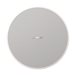 Bose DesignMax DM5C