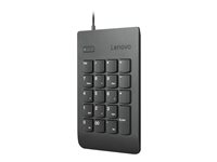 Lenovo Numeric Keypad Gen II Tastatur Kabling