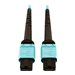 Tripp Lite 400G MTP/MPO Multimode OM4 Plenum-Rated Fiber Cable, 24F MTP/MPO-PC to 24F MTP/MPO-PC, Aqua, 10M
