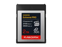 SanDisk Extreme PRO - flash memory card