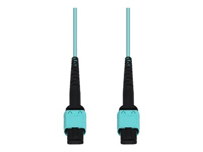AddOn - Patch cable - MPO/UPC multi-mode (F) to MPO/UPC multi-mode (F)