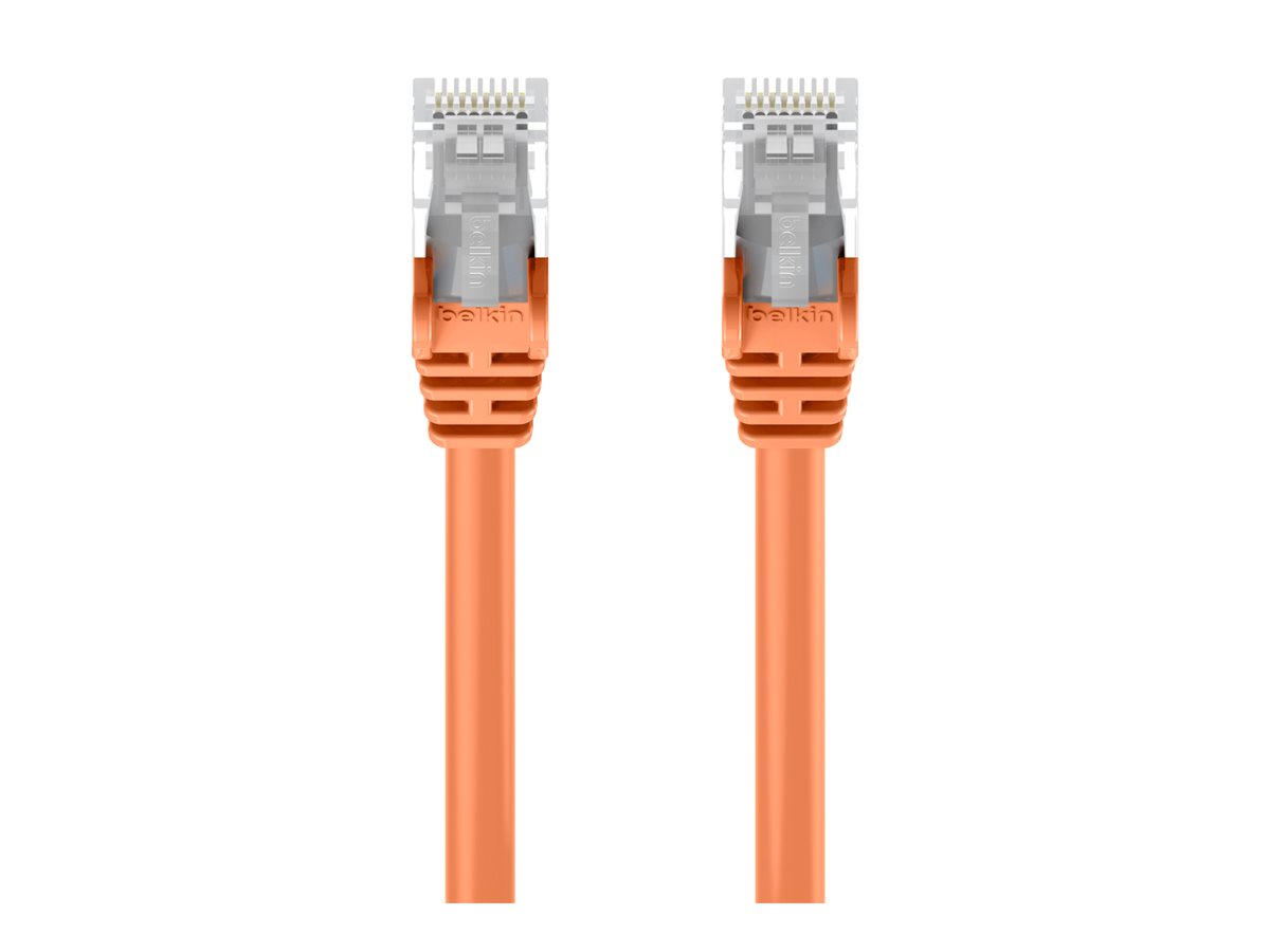 Belkin - Patch cable