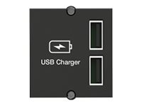 BACHMANN Custom Module USB double-charger