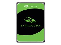 Seagate Barracuda Harddisk 7200.10 20TB 3.5' Serial ATA-600 7200rpm