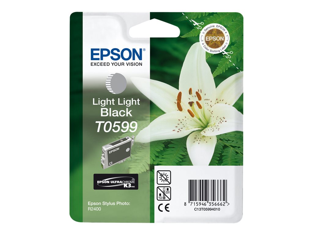 EPSON 5LB T0599 ink cartridge light