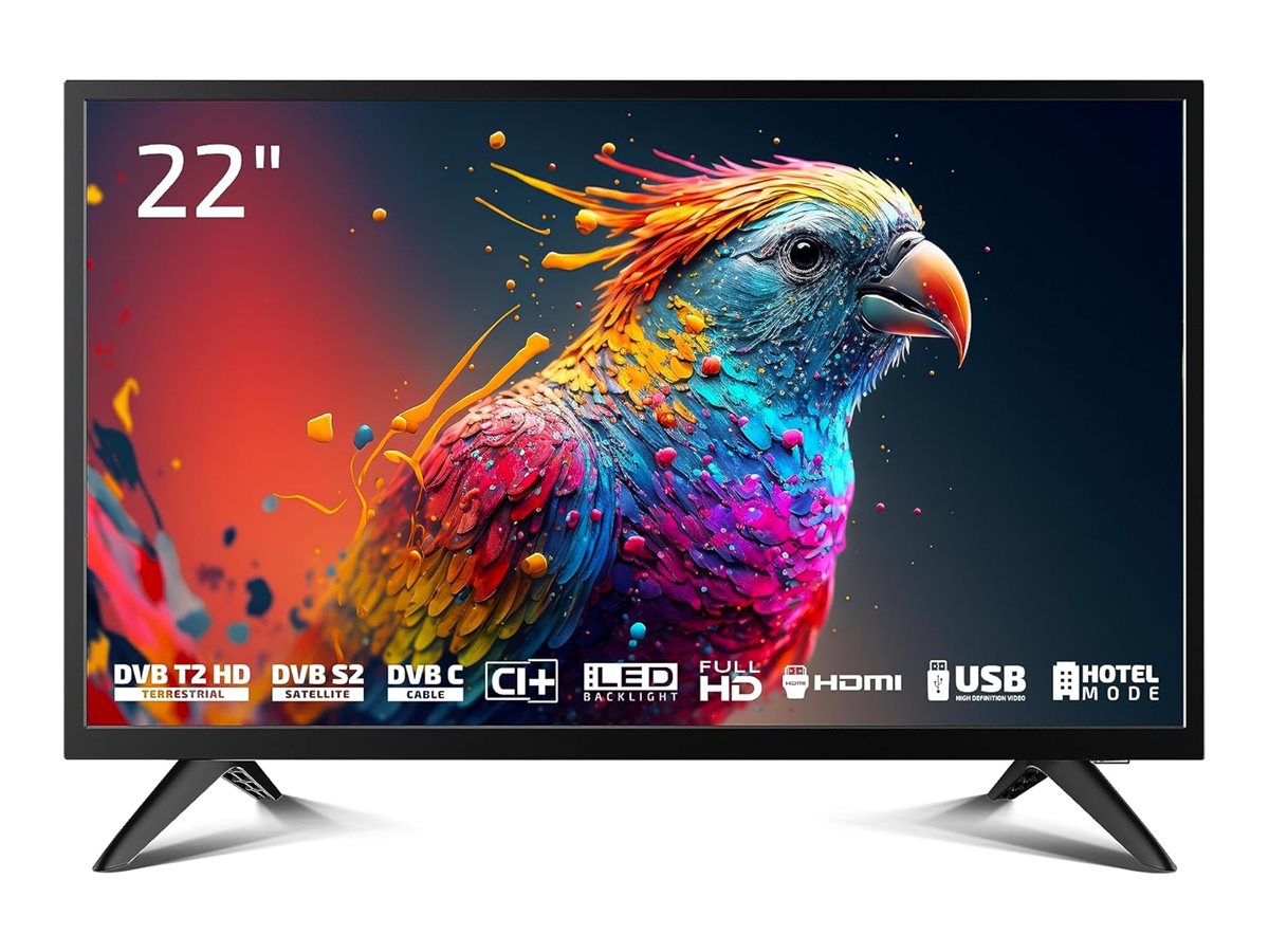 DYON Enter 22 Pro X2 22" Full HD LED-Fernseher Schwarz