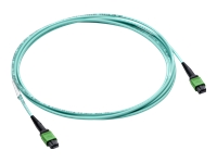 HPE - Câble InfiniBand - MPO-8 pour MPO-8 - 20 m 