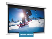 Da-Lite DescenderPro projection screen - 175.98" (447 cm)