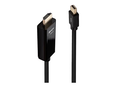 adapter cable - DisplayPort / HDMI - 2 m