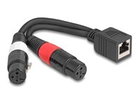 Delock Audiokabel 20cm Sort