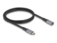 DeLOCK USB 2.0 / USB 3.2 / USB4 / Thunderbolt 3 USB Type-C forlængerkabel 1m Sort Grå