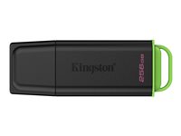 Kingston DataTraveler Exodia - USB flash drive - 256 GB