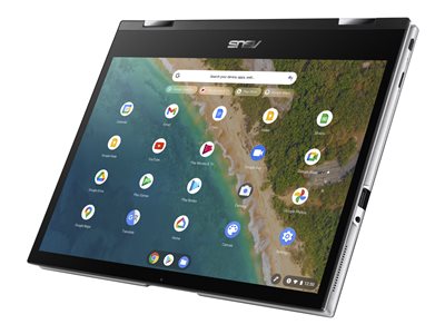 ASUS Chromebook Flip CM3200FVA DS42T