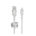 Belkin BoostCharge