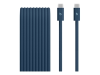 Beats - Câble USB - USB-C (M) pour USB-C (M) - USB 2.0 